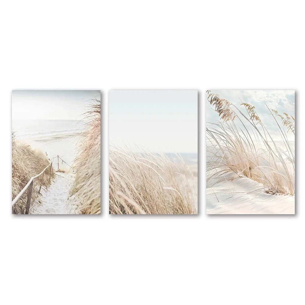 Set Costa Nórdica - Paisaje Marino